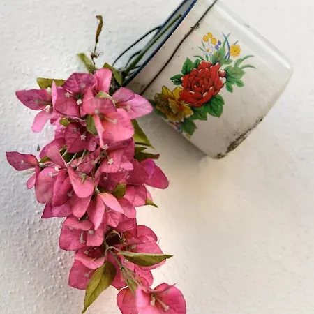 Sitio Dos Cavaleiros Daily Serviced